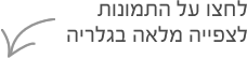 לחצו על התמונות לצפייה בגלריה