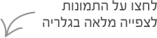 לחצו על התמונות לצפייה בגלריה